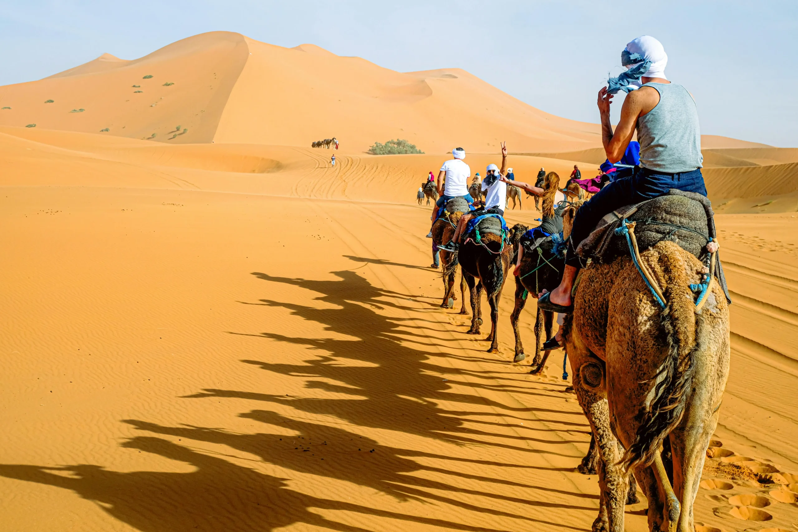 Sahara desert camel trekking experience