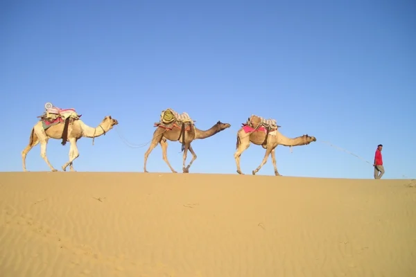 5-Day Sahara Desert Trek & Erg Chegaga Adventure