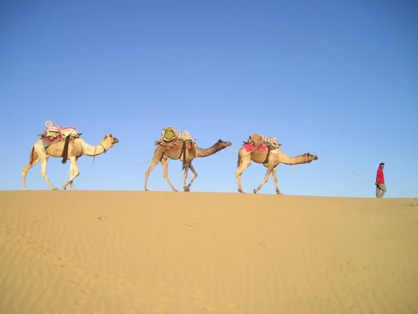 5-Day Sahara Desert Trek & Erg Chegaga Adventure