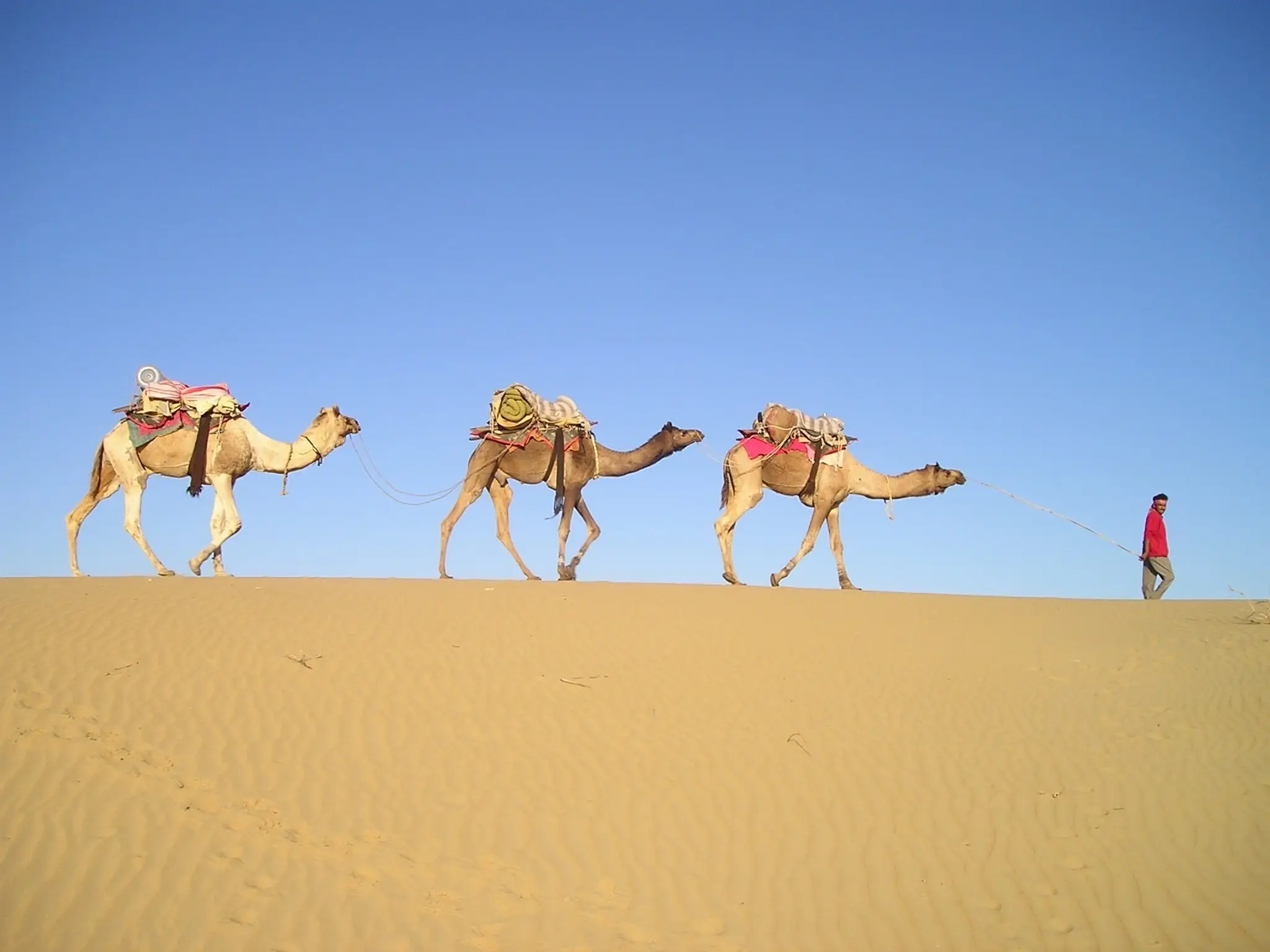 Camel trekking in Morocco with local guides